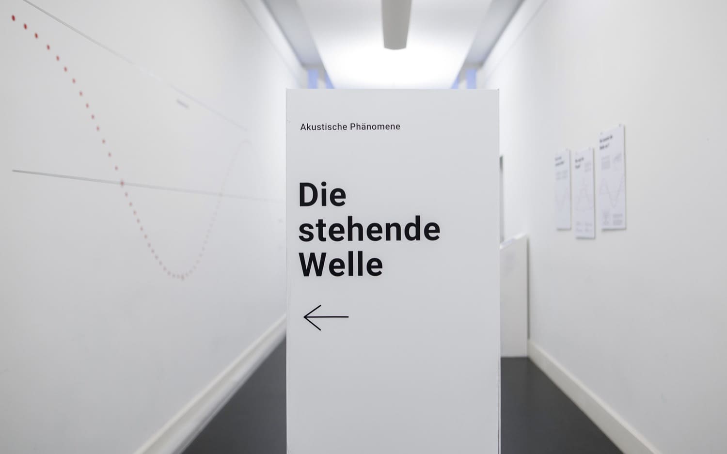 Die stehende Welle